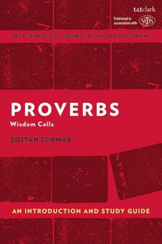 Proverbs: An Introduction and Study Guide av Zoltan Schwab