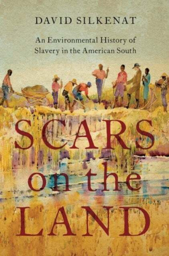 Scars on the Land av David (Senior Lecturer in American History Senior Lecturer in American History University of Edinburgh) Silkenat