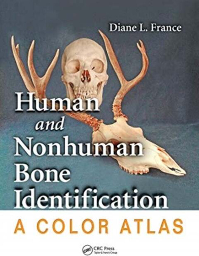 Human and Nonhuman Bone Identification av Diane L. (Colorado State University Fort Collins USA) France