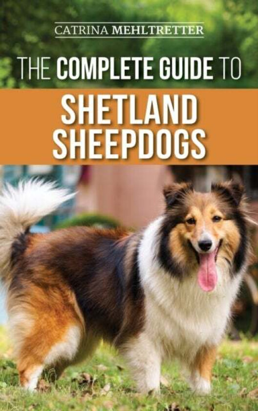 The Complete Guide to Shetland Sheepdogs av Catrina Mehltretter