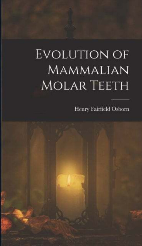 Evolution of Mammalian Molar Teeth av Henry Fairfield Osborn