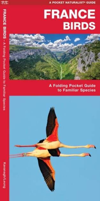 France Birds av James Kavanagh, Waterford Press