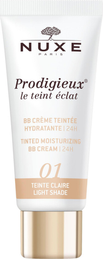 Tinted Moisturizing BB Cream 24H Light Shade