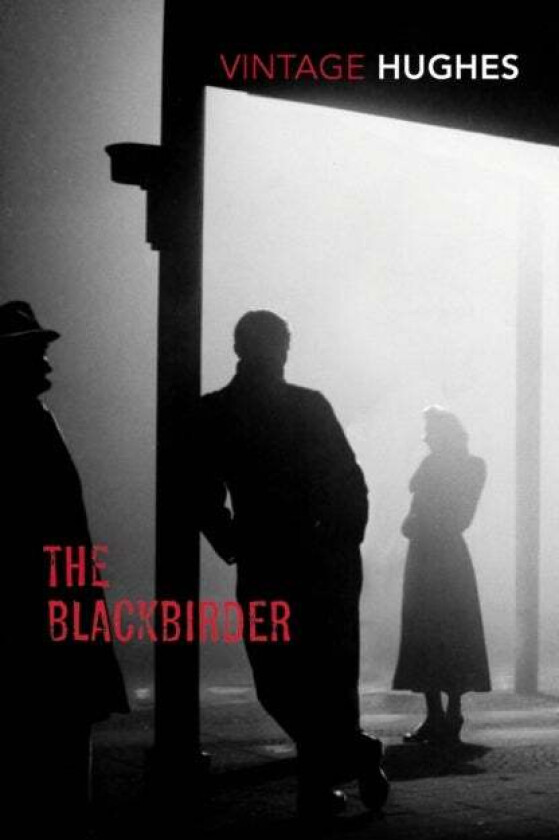 The Blackbirder av Dorothy B Hughes