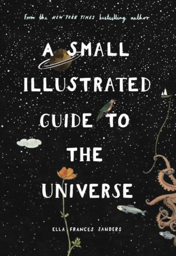 A Small Illustrated Guide to the Universe av Ella Frances Sanders