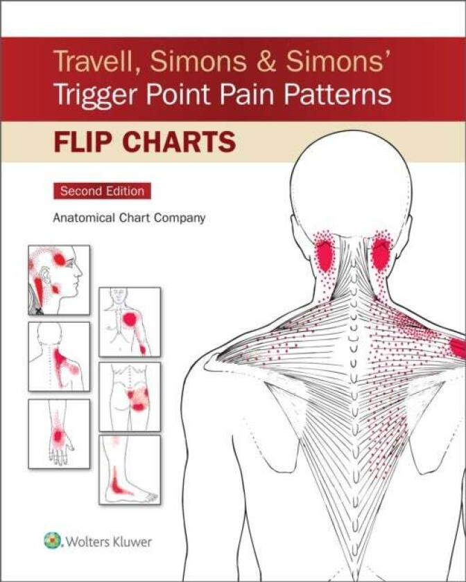 Travell, Simons & Simons' Trigger Point Pain Patterns Flip Charts av Anatomical Chart Company