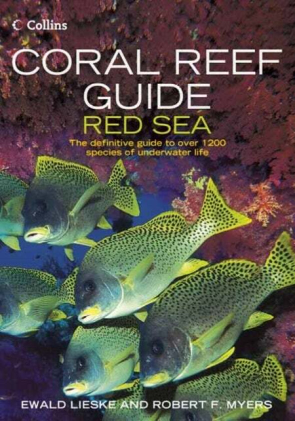 Coral Reef Guide Red Sea av Ewald Lieske, Robert F. Myers