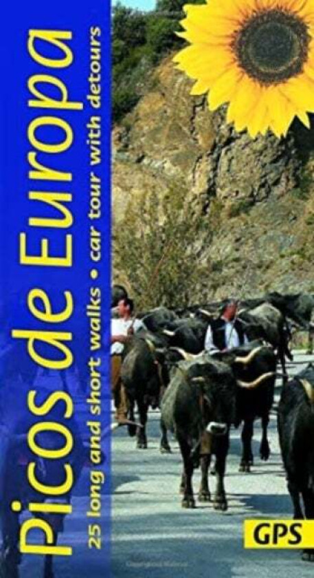 Picos de Europa Guide: 25 long and short walks with detailed maps and GPS; car tour with pull-out ma av Teresa Farino