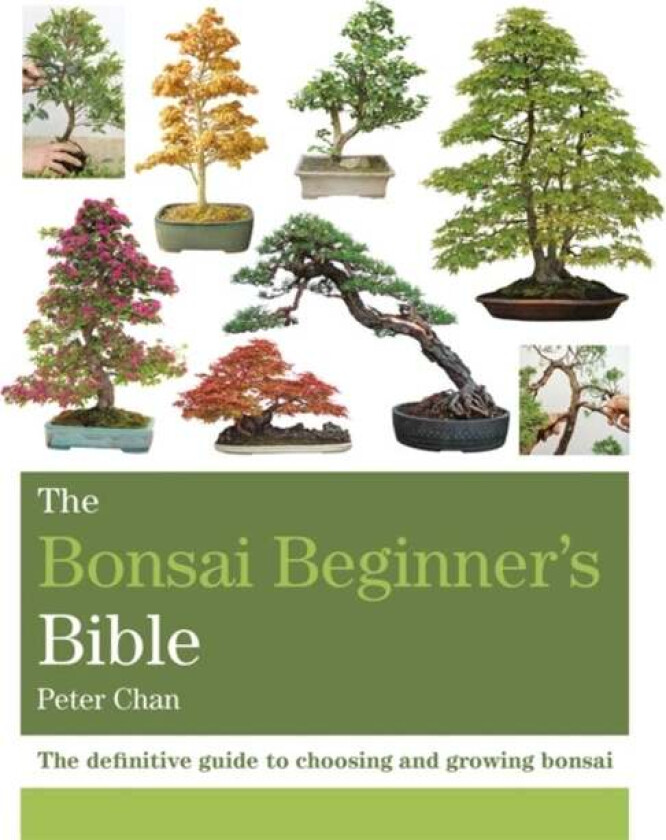 The Bonsai Beginner's Bible av Peter Chan