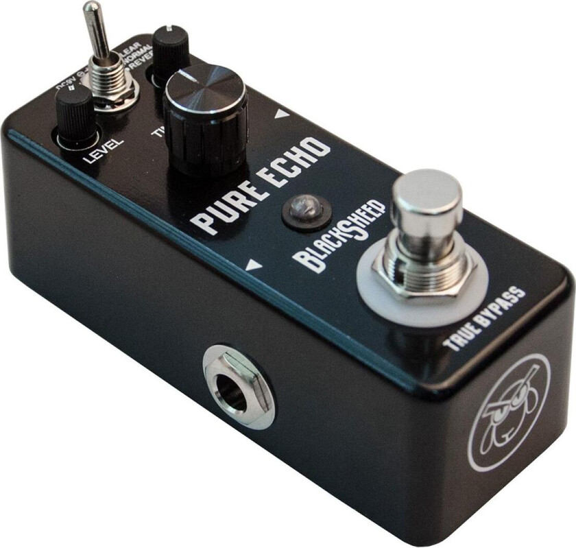 Pure Echo