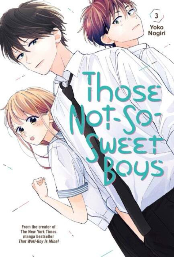 Those Not-So-Sweet Boys 3 av Yoko Nogiri