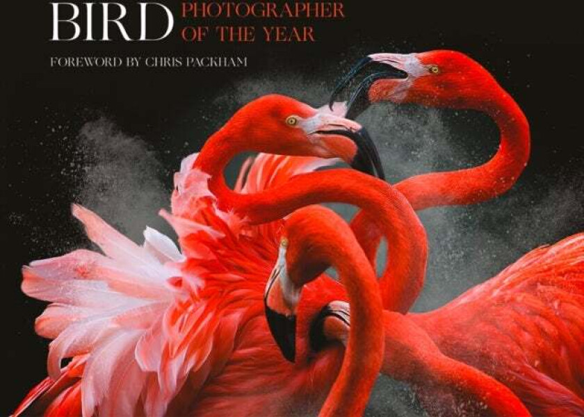 Bird Photographer of the Year av Bird Photographer of the Year