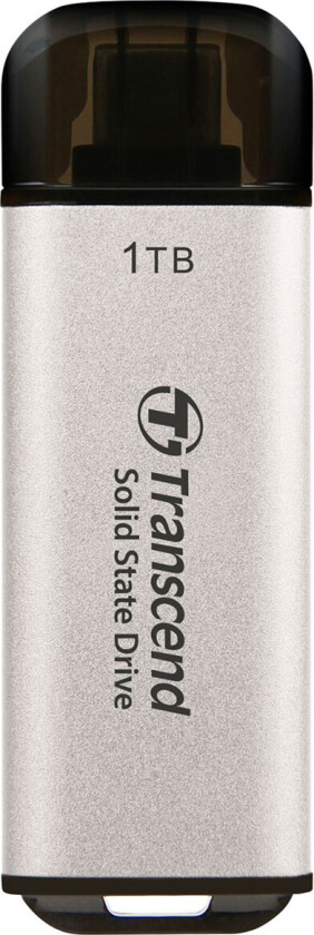 ESD300 Portable SSD - Silver - 1TB