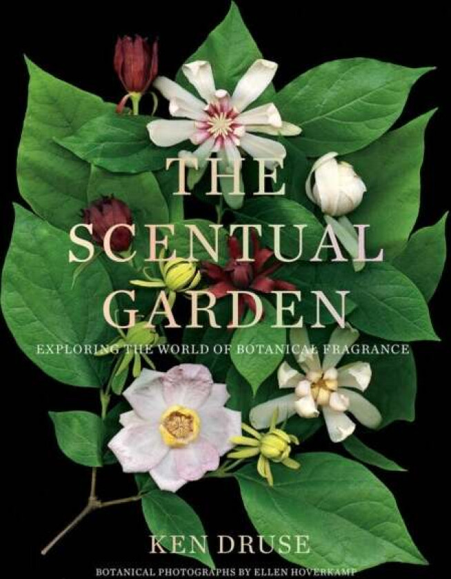 The Scentual Garden: Exploring the World of Botanical Fragrance av Ken Druse