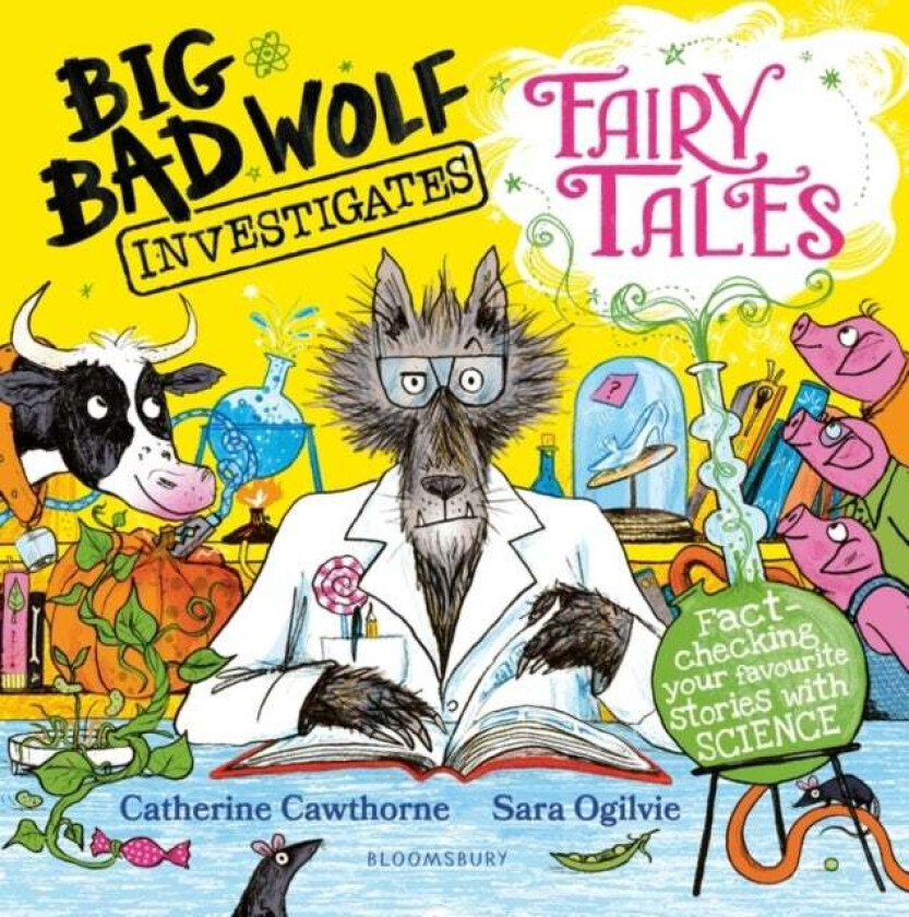 Big Bad Wolf Investigates Fairy Tales av Catherine Cawthorne