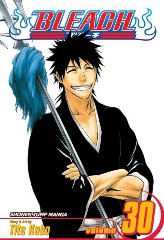 Bleach, Vol. 30 av Tite Kubo