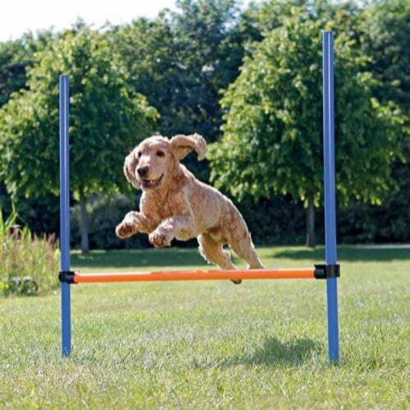 Agility Hopphinder