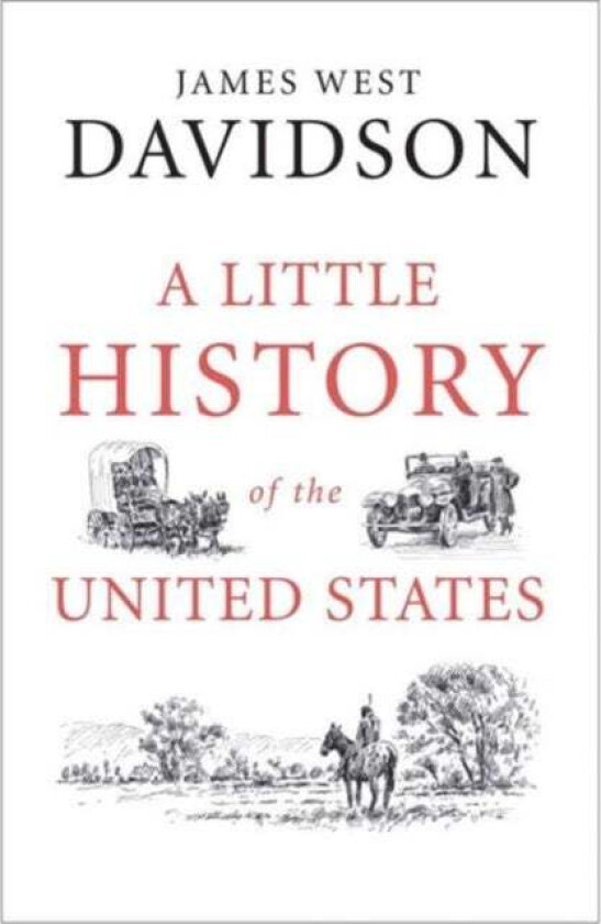 A Little History of the United States av James West Davidson