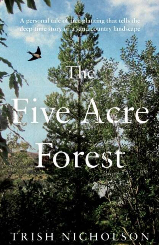 The Five Acre Forest av Trish Nicholson