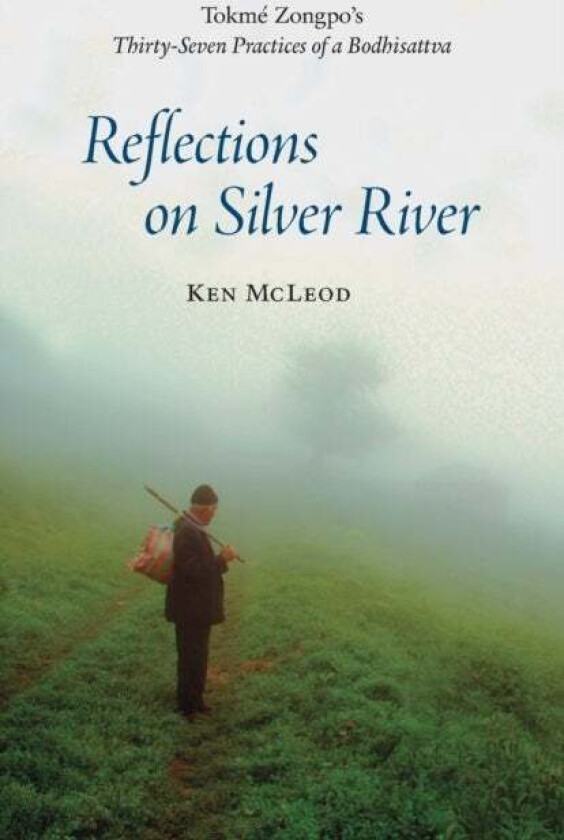 Reflections On Silver River Av Ken Mcleod