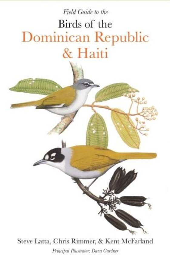 Field Guide to the Birds of the Dominican Republic and Haiti av Steven Latta, Christopher Rimmer, Kent McFarland