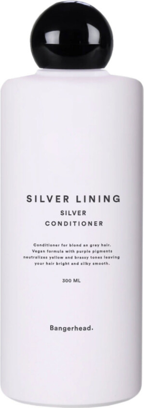 Silver Lining Conditioner (300 ml)