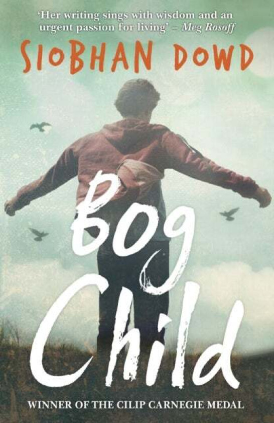 Bog Child av Siobhan Dowd