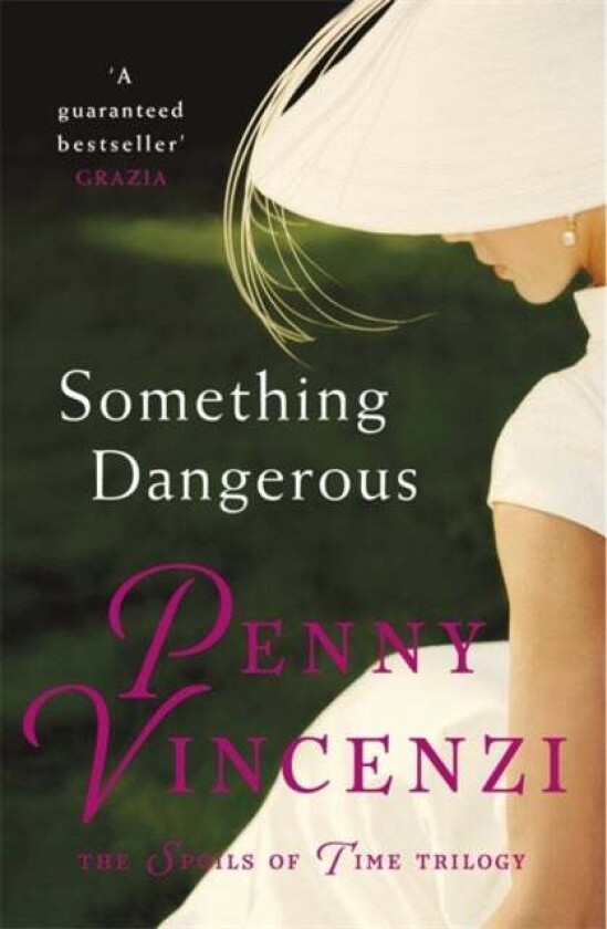 Something Dangerous av Penny Vincenzi