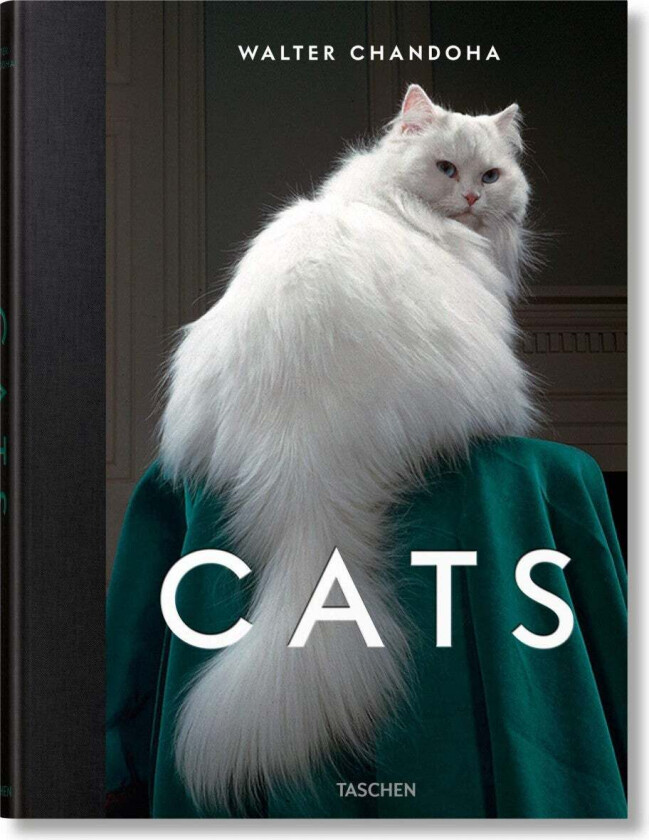 Walter Chandoha. Cats. Photographs 1942-2018 av Susan Michals