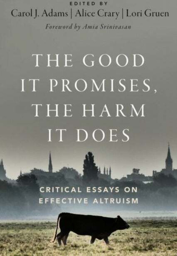 The Good It Promises, the Harm It Does