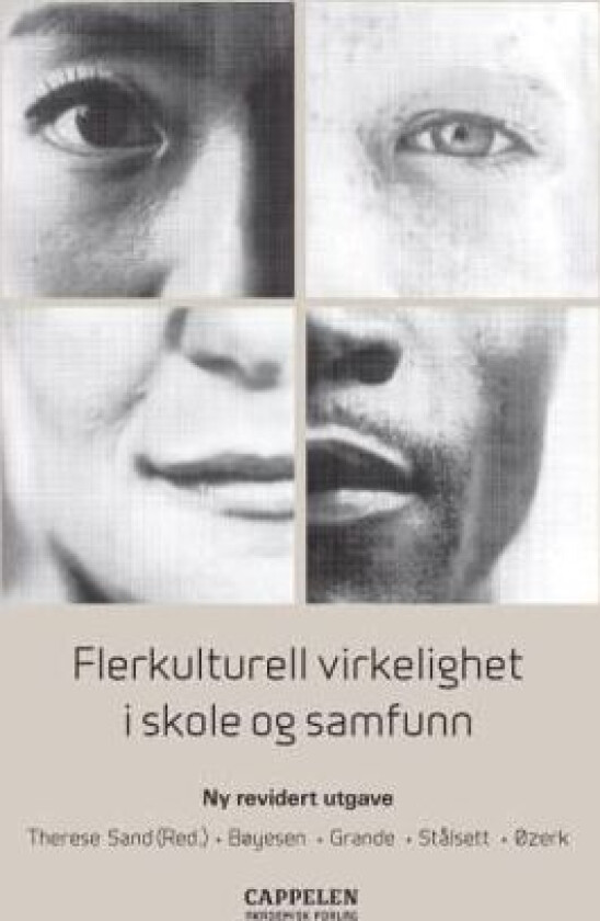 Flerkulturell virkelighet i skole og samfunn
