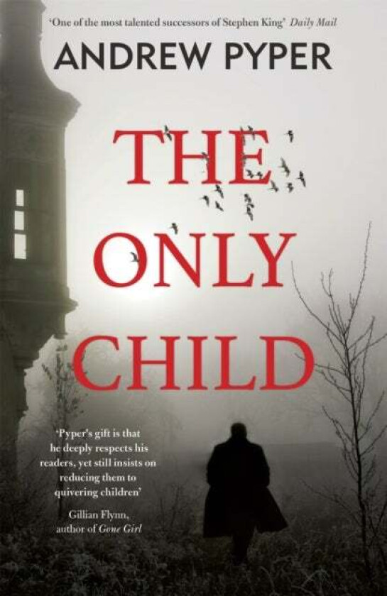 The Only Child av Andrew Pyper