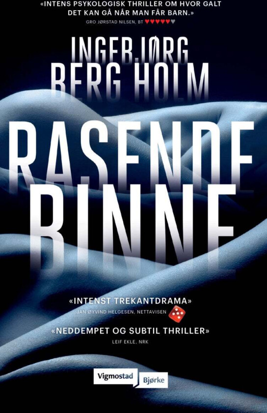 Rasende binne (pocket) av Ingebjørg Berg Holm