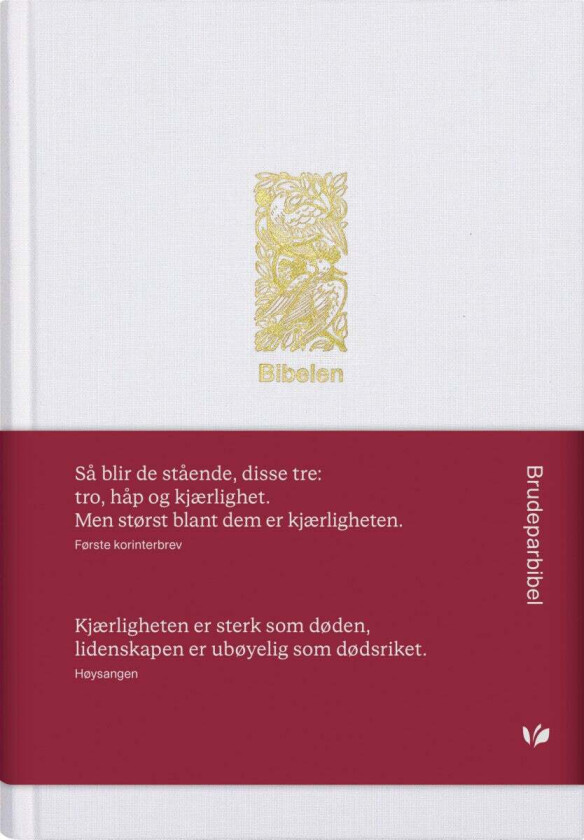 Bibel 2024