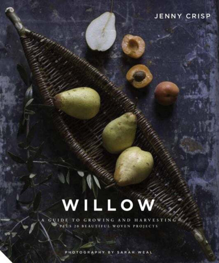 Willow av Jenny Crisp