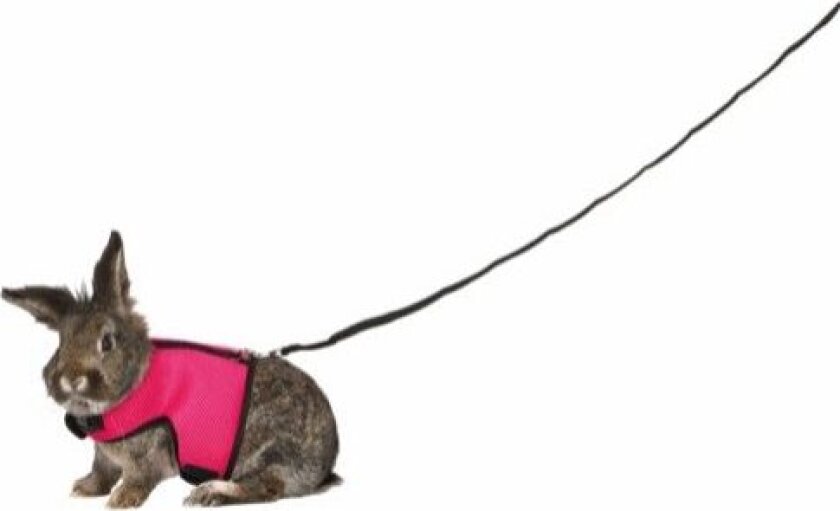 Soft harness with leash large rabbits 25-40 cm 1.20 m - Assorted