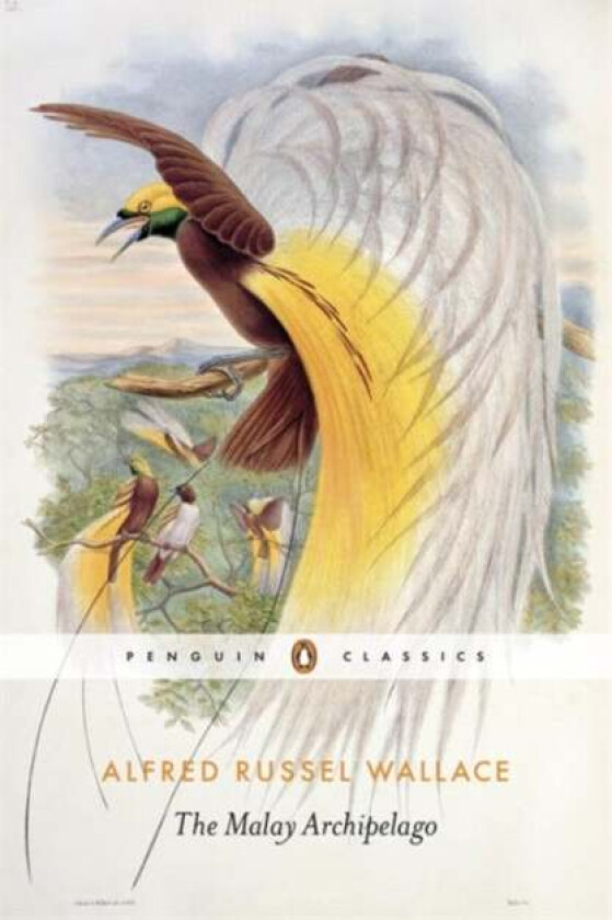 The Malay Archipelago av Alfred Russel Wallace