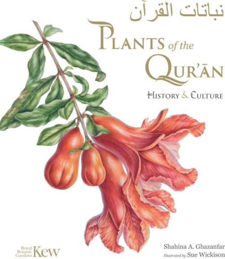 Plants of the Quran av Shahina A. Ghazanfar