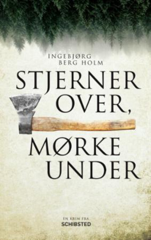 Stjerner over, mørke under av Ingebjørg Berg Holm