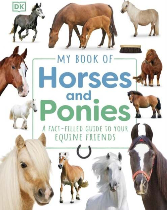 My Book of Horses and Ponies av DK