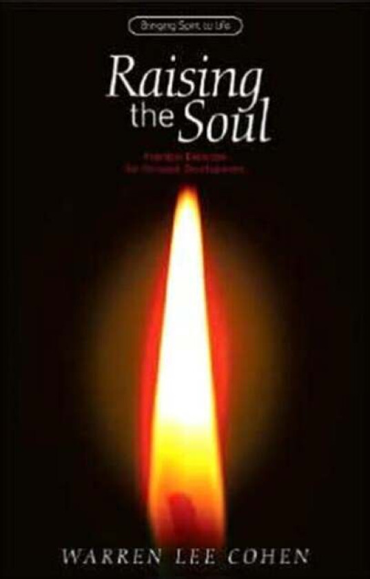 Raising the Soul av Warren Lee Cohen