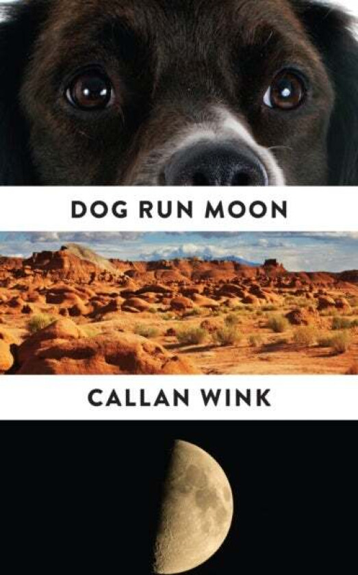 Dog Run Moon av Callan Wink