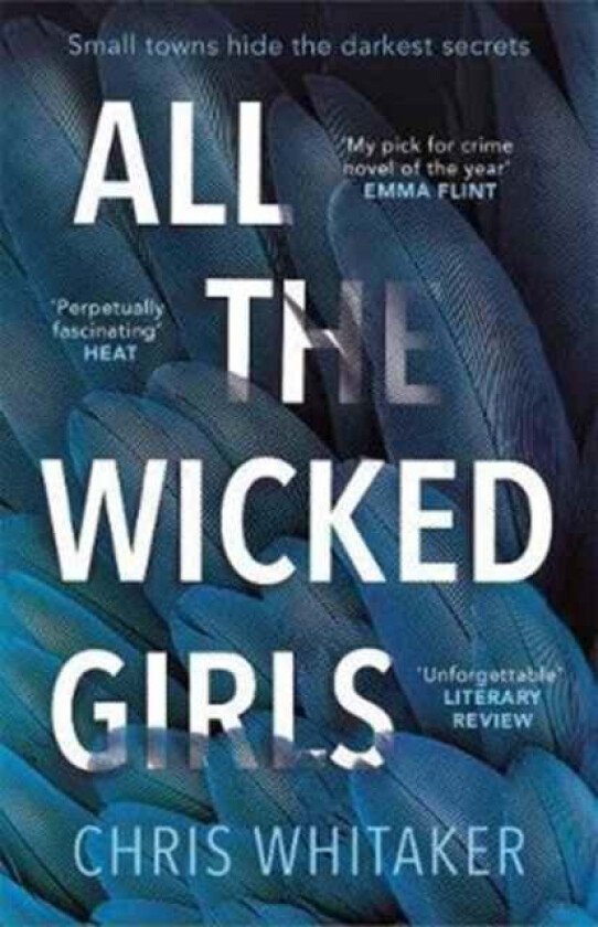 All The Wicked Girls av Chris Whitaker