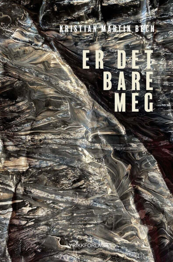 Er Det Bare Meg Av Bech Kristian Martin