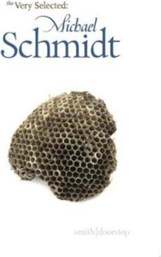 Very Selected: Michael Schmidt av Michael Schmidt