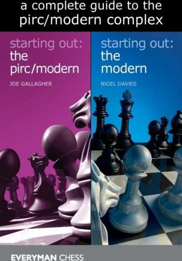 A Complete Guide to the Modern/Pirc Complex av Joe Gallagher, Nigel Davies