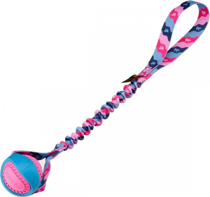 PowerBall Bungee Hundeball (Rosa)