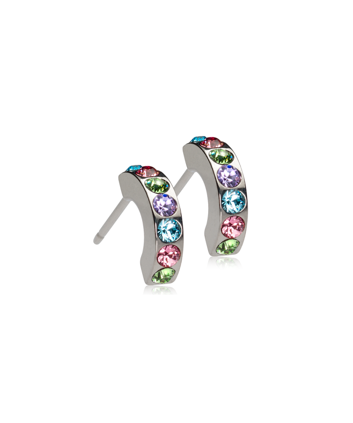 Brilliance Curved Light Fantasy Titanium Øredobber Med Krystal 15-12146-98