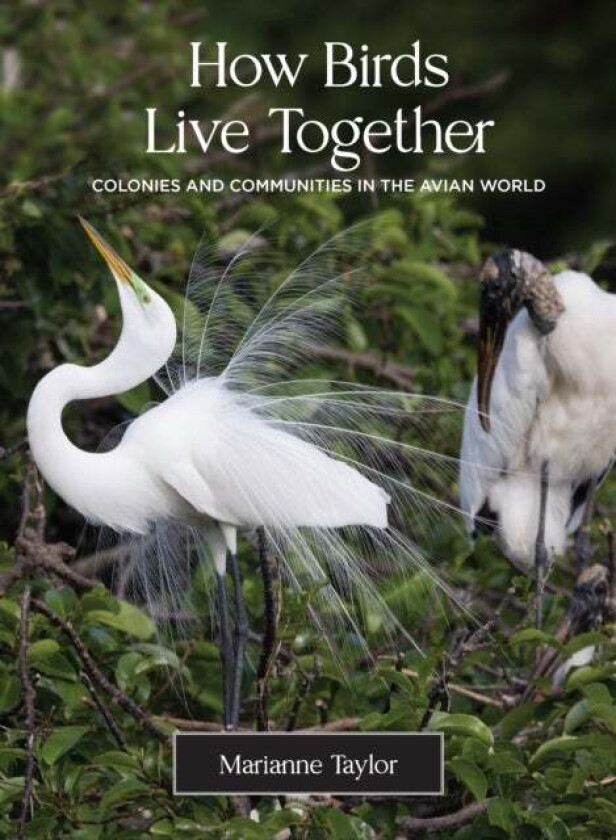 How Birds Live Together av Marianne Taylor