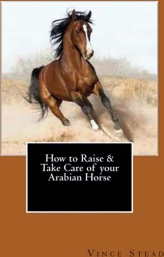 How to Raise & Take Care of Your Arabian Horse av Vince Stead